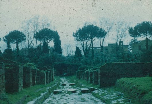 001_appia antica (90) 180